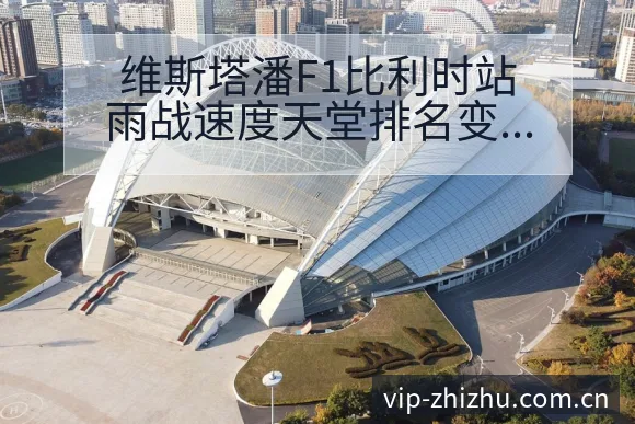 维斯塔潘F1比利时站雨战速度天堂排名变化深度解析 - 蜘蛛直播