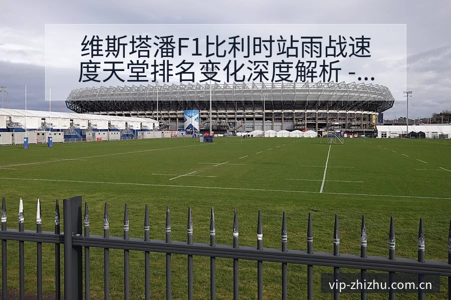 维斯塔潘F1比利时站雨战速度天堂排名变化深度解析 - 蜘蛛直播